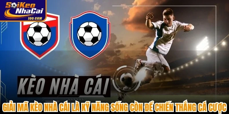 Giải mã kèo nhà cái là kỹ năng sống còn để chiến thắng cá cược