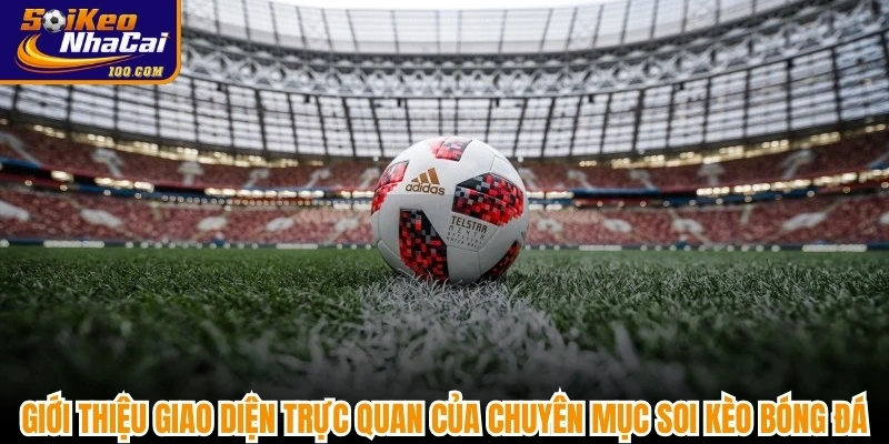 Giới thiệu giao diện trực quan của chuyên mục soi kèo bóng đá