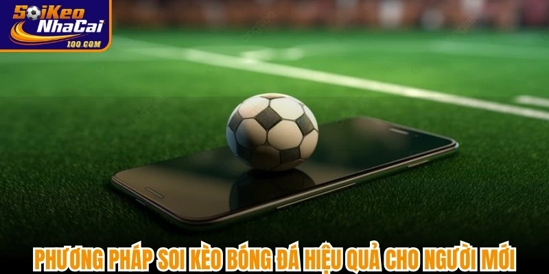 Phương pháp soi kèo bóng đá hiệu quả cho người mới