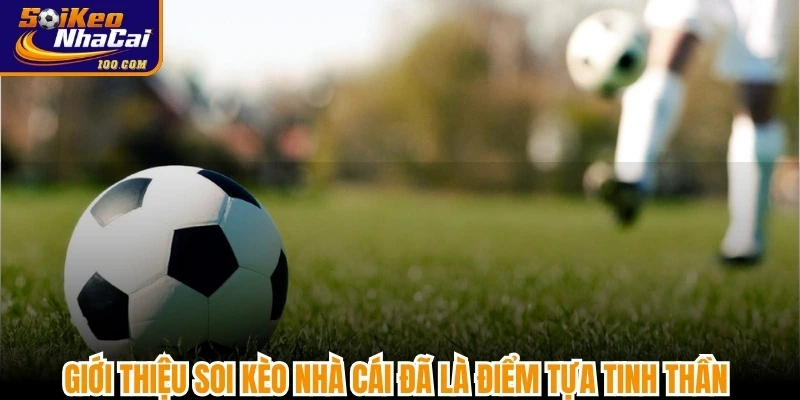 Giới thiệu Soi kèo nhà cái đã là điểm tựa tinh thần vững chắc cho cộng đồng