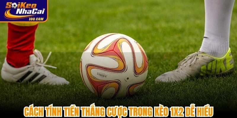 Cách tính tiền thắng cược trong kèo 1x2 dễ hiểu