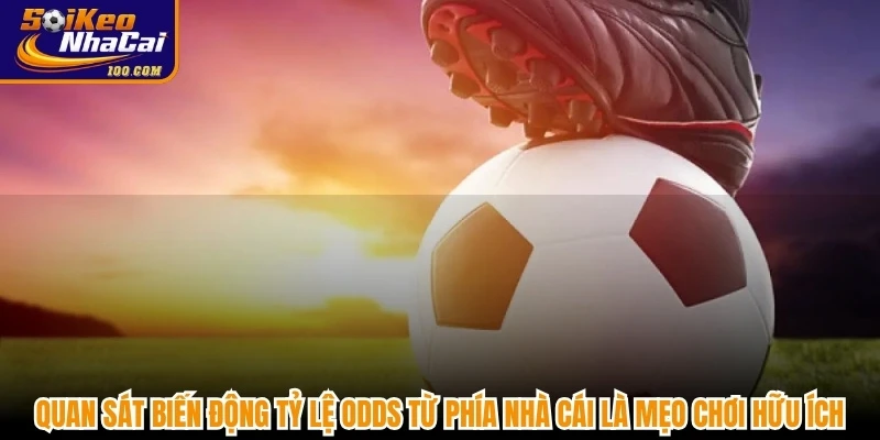 Quan sát biến động tỷ lệ Odds từ phía nhà cái là mẹo chơi hữu ích