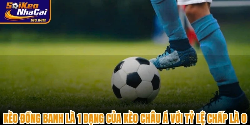 Kèo đồng banh là 1 dạng của kèo Châu Á với tỷ lệ chấp là 0