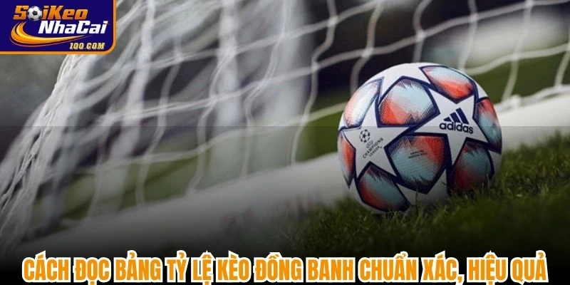 Cách đọc bảng tỷ lệ kèo đồng banh chuẩn xác, hiệu quả