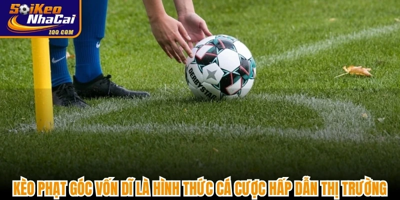 Kèo phạt góc vốn dĩ là hình thức cá cược hấp dẫn thị trường