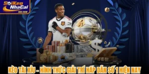 Kèo Tài Xỉu - Hình Thức Giải Trí Hấp Dẫn Số 1 Hiện Nay