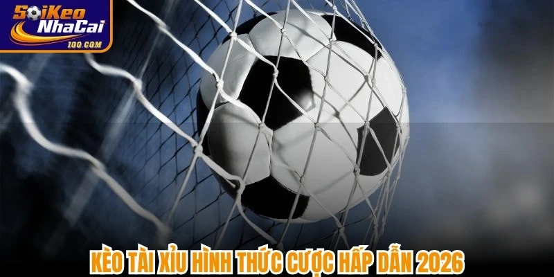 Kèo tài xỉu (hay còn gọi là Over/Under) hình thức cược hấp dẫn 2026