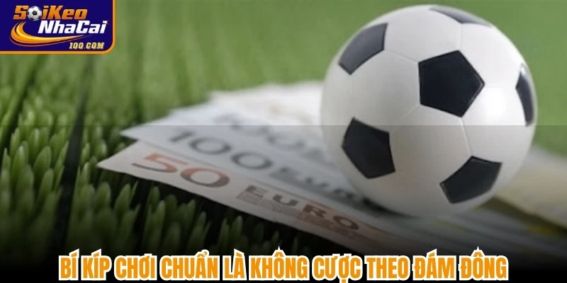 Bí kíp chơi chuẩn là không cược theo đám đông