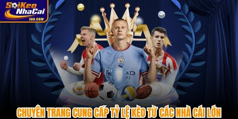 Chuyên trang cung cấp tỷ lệ kèo trực tuyến chính xác từ các nhà cái lớn